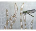 "Horsetail" by Kristen Etmund